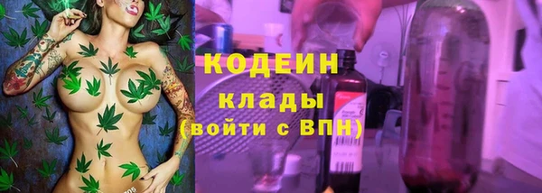 МДПВ Ельня