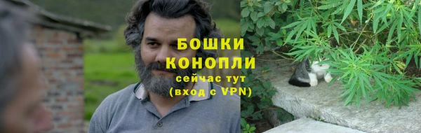 МДПВ Ельня