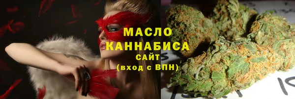 МДПВ Ельня