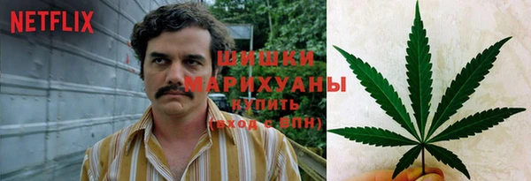 МДПВ Ельня