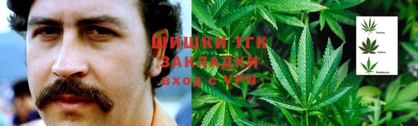 МДПВ Ельня