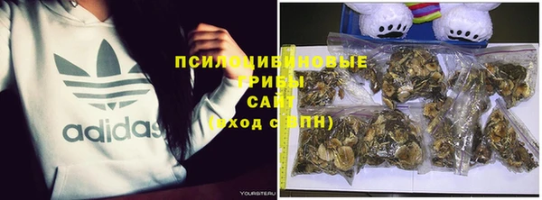 тгк Елабуга