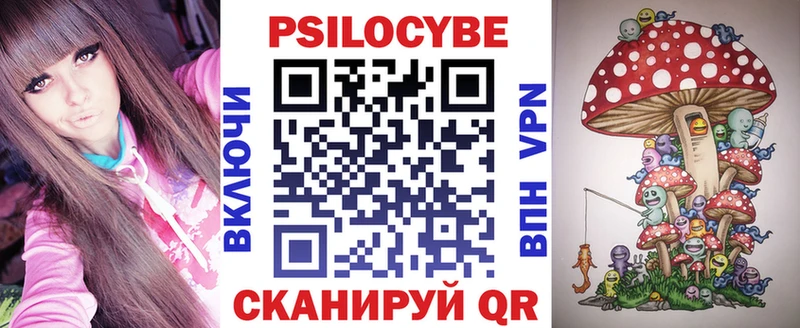 Купить  Еманжелинск  Галлюциногенные грибы Psilocybe 